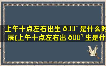 上午十点左右出生 🐴 是什么时辰(上午十点左右出 🌹 生是什么时辰的)
